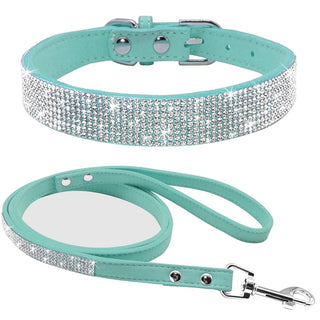Pet Collar Leash Set ALODIA STORE