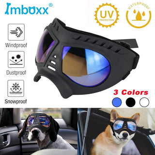 Soft Frame Puppy Glasses ALODIA STORE