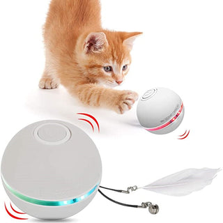 LED Colorful Cat Toy ALODIA STORE