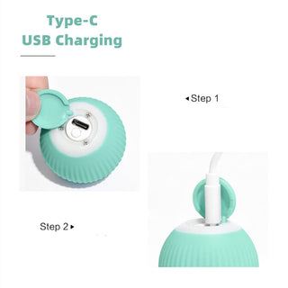 Smart Cat Ball Toys ALODIA STORE
