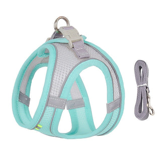 Dog Harness Leash Set for Small Dogs ALODIA STORE