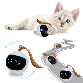 Kitten Electronic Ball ALODIA STORE