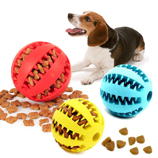 Watermelon Ball for Dog Toy ALODIA STORE