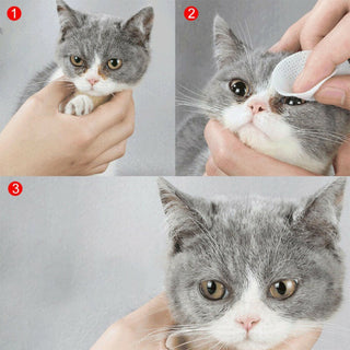 Pet Wet Wipes ALODIA STORE