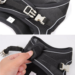 Dog Harness Leash Set for Small Dogs ALODIA STORE