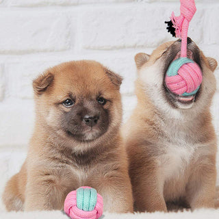 Pet Dog Chew Toys ALODIA STORE