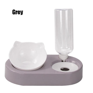 Pet Bowl Double Bowls Food Water Feeder With Auto Water Dispenser ALODIA STORE