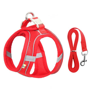 Dog Harness Leash Set for Small Dogs ALODIA STORE