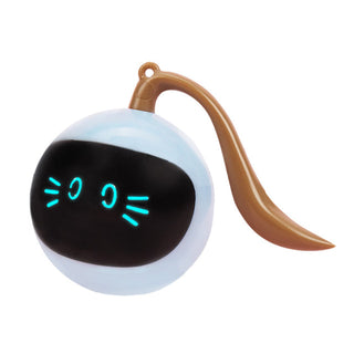 Kitten Electronic Ball ALODIA STORE
