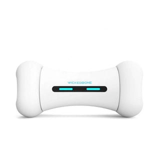 Pet Induction Interactive Toy ALODIA STORE