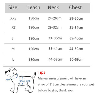 Dog Harness Leash Set for Small Dogs ALODIA STORE