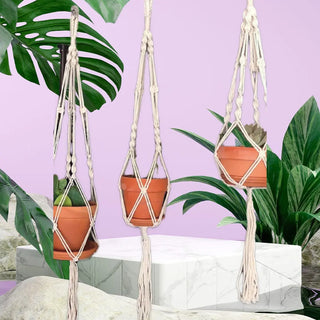 Home & Garden