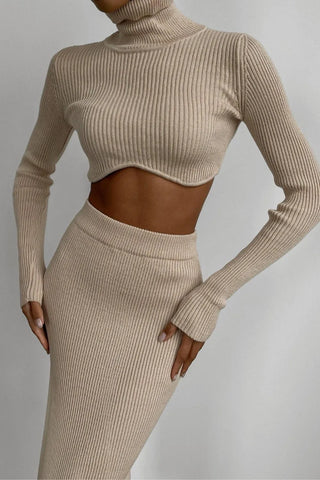 Chic Women Knitted Set Crop Tops and Skirt Clothing