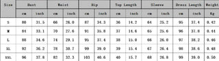 CHRONSTYLE Women 2pcs Spring  high waist long skirt