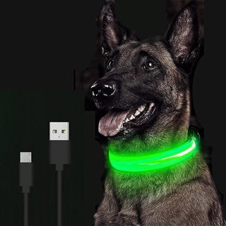 Collar LED brillant per a mascotes ajustable