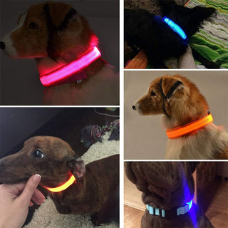 Collar LED brillant per a mascotes ajustable