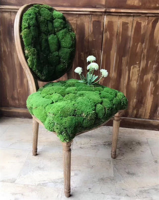 Planta artificial de 20 g de molsa de vida eterna / decoració de la llar del jardí paret Material de flors de bricolatge Mini accessoris de micropaisatge de jardí