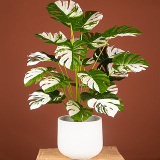 Plantes falses de 75 cm i 24 forquilles, branca d'arbre de monstera artificial gran, fulla de tortuga falsa de palmera tropical de plàstic per a la decoració de l'habitació del jardí de la llar