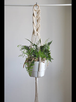 good quality plant hanger pot hanging for home garden macrame plant hanger for bacony pot hanging indoor